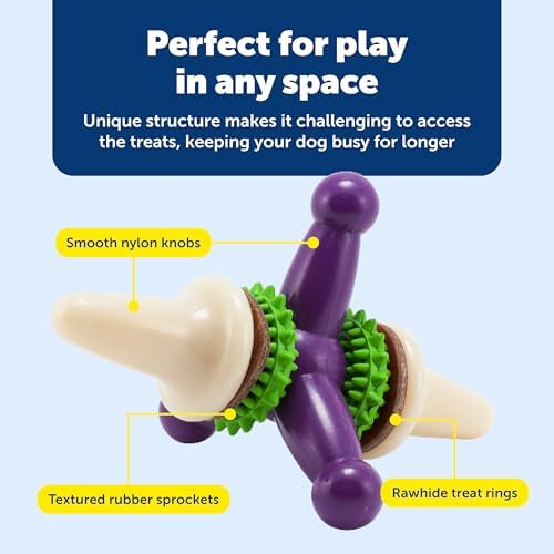 PetSafe Busy Buddy Jack - Treat Holding Dog Chew Toys - Helps Clean Teeth - Vanilla Scented Rubber for Strong Chewers - Treat Refills Included - Interactive Dog Toy Keeps Dogs Busy - Purple, Medium