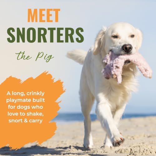 Cuddlerz Snorters the Pig Plush Dog Toy with RuffGuard® Lining
