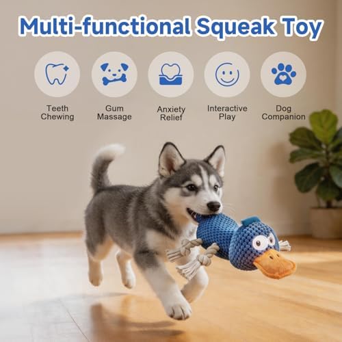 Squeaky Dog Toys, Interactive Duck Dog Toy for Small Medium Dogs