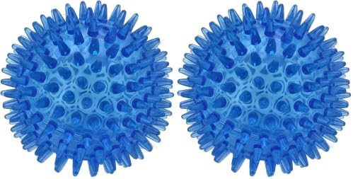 Cutie's PetBox Squeaky Rubber Spike Toy Ball for Small Dogs (2.5 Inch, Blue) (Pack of 2)
