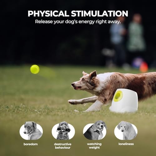 ALL FOR PAWS Automatic Dog Ball Launcher for Medium to Large Dogs, Interactive Tennis Ball Thrower, Rechargeable Dog Toy Mental Stimulation Training Game for Energetic Dogs