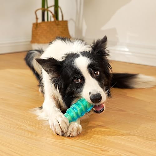 MewaJump Dog Chew Toys for Aggressive Chewers, Tough Dog Toy Medium Breeds