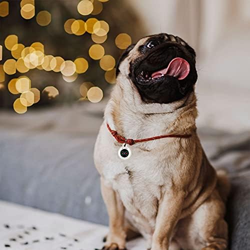 QR Code Dog Tag Personalized Pet Id Silent Cat Tags Engraved Name Plate with Online Profile («Bingo Bone»)