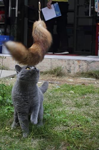 Fosrion Real Raccoon Tail Fur Cat Bites Toy with Three Section Retractable Carbon Fiber Rod (Sunny Fox, Only Tail)