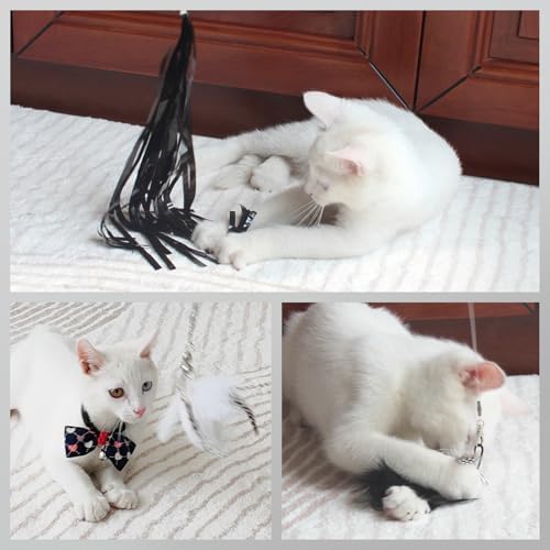 SONGWAY Cat Wand Toys for Indoor Cats - Cat Toy Set with Retractable Teaser Wand and 6 PCS Feather Toy Refills, Dragonfly Tassel Cat Toys Interactive, Black