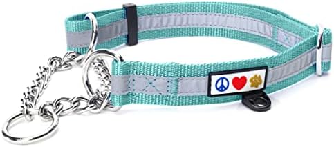 Pawtitas Martingale Dog Collar with Chain - Reflective Nylon No Pull Collar for Large Dogs - Teal