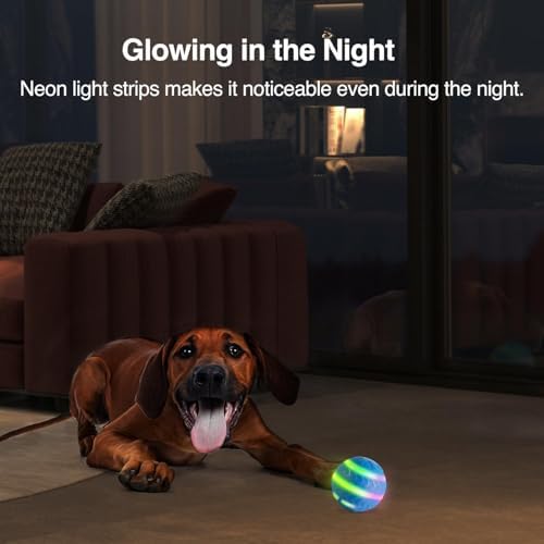 ALL FOR PAWS Interactive LED Dog Ball for Boredom Motion Activated Moving Dog Balls Toy Lights Up for Day/Night Play, Dog Enrichment Mental Stimulation Toys for Puppy, USB Rechargeable Dog Toys