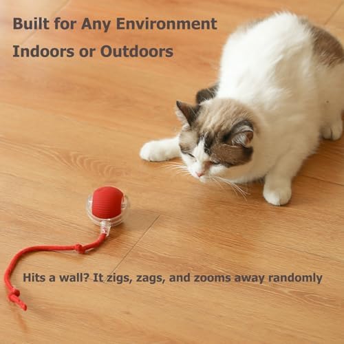 Interactive Electric Pet Ball, USB Rechargeable Auto Rolling Toy with Tail