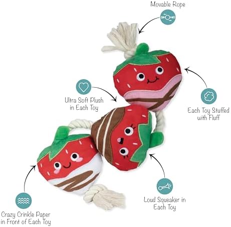Fringe Studio Plush Dog Toy with Rope, Covered with Love, Petshop Collection (314495)