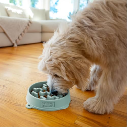 Outward Hound Fun Feeder Slo Bowl Dog Slow Feeder, Notch, Sage, 9.1", Medium (Pack of 12)