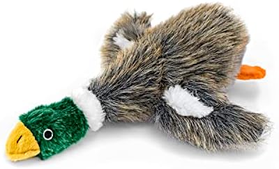 RUFFIN' IT Woodlands, Plush Mallard 8 in Squeaky Soft Stuffed, Dog Chew Toy