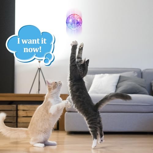 Sratte 2 Pcs Rechargeable Light up Cat Ball Ghost Hunting, Clear