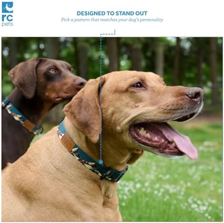 RC Pets Eco Clip Collar | Adjustable, Durable, Earth-Friendly | Small, 3/4-Inch, Cosmic Aura