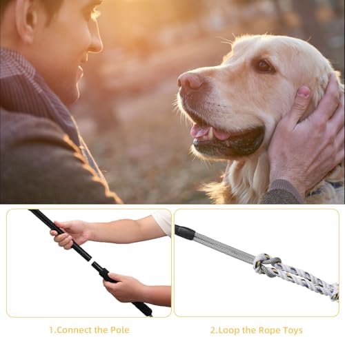Gingull Outdoor Flirt Pole for Dogs - Interactive Toy Teaser Wand for Dogs Outdoor Chase and Tug of War Heavy Duty Dog Flirt Pole, Durable Pet Toys for Dog, Black