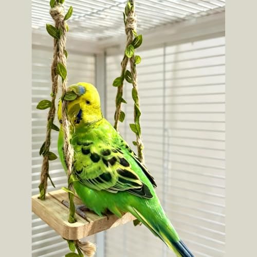 Hanging Bird Swing Bird-Toys Bird Cage Toys & Bird Perch Natural Wood