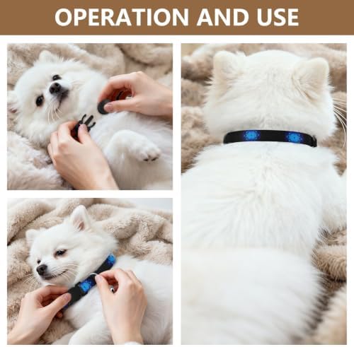 Skulls Blue Dog Collar with Bell 2 Pack Pet Collars Adjustable Length 10.6" to 17.1"