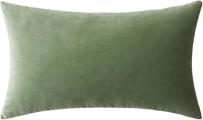 MIULEE Velvet Pillow Cover Soft Luxury Decorative Throw Pillow Cover Single Rectangle Cushion Case for Spring Couch Sofa Bedroom Car Decor,12x20 Inch Sage Green | Soft Luxury Decorative Throw Pillow Cover, Single Rectangle Cushion Case, Home Decor for ...