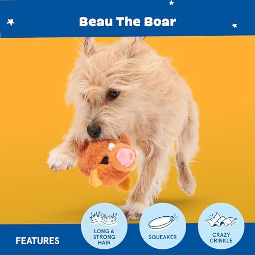 BarkBox Beau the Boar Plush Dog Toy - Toy for Small to Medium Dogs