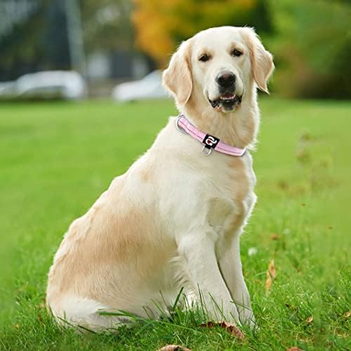 azuza Reflective Dog Collar, Neoprene Padded Large Dog Collar, Pink, L