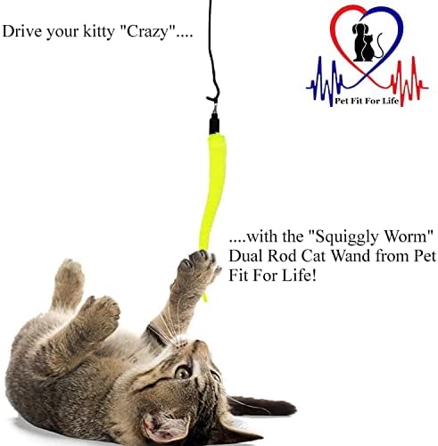 Pet Fit For Life Cat Wand Toy, 5-Piece Worm Teaser & Exerciser