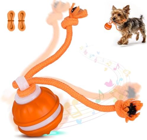 Interactive Dog Toys Ball, 3 Modes & Powerful Motor, Random Movement & Swinging Rope, Bird Chirping Stimulate, USB C Rechargeable for Small Medium Dogs for Boredom, Anxiety Relief