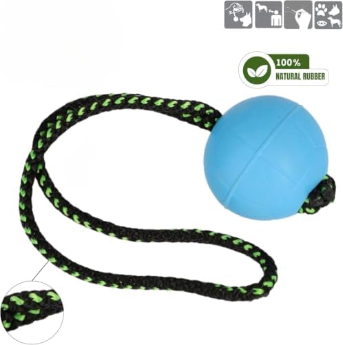 Dingo Dog Ball with Short Handle, Natural Rubber (Blue)