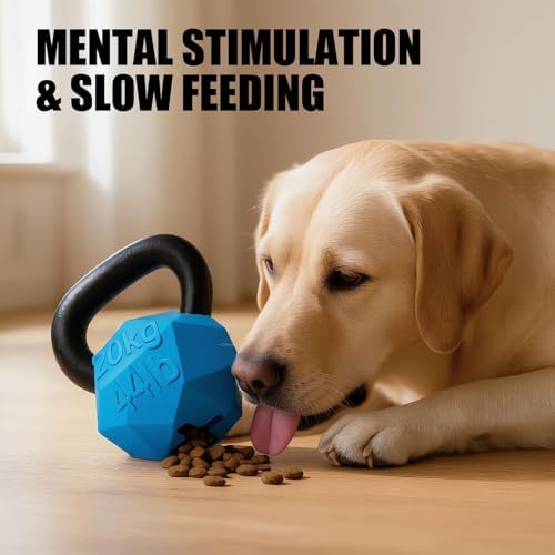 MECOOL Indestructible Dog Toy for Aggressive Chewers - Heavy Duty Chew Ring with Durable Nylon and Treat Dispenser Rubber Base, Interactive Food Puzzle Dog Chew Toy,Large Blue