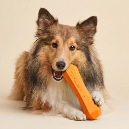 Playology Squeaky Chew Stick - Scented Dog Toy - Medium, Cheddar Scent