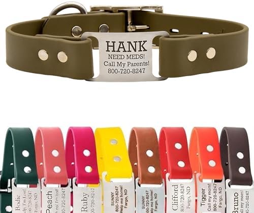 dogIDs Personalized Dog Collar – ScruffTag Custom Waterproof Biothane Dog Collar with Laser-Engraved Name, Durable & Odor-Resistant – USA Made | Sage, 1 in x 16 in (Fits Neck Sizes 14-18 in)