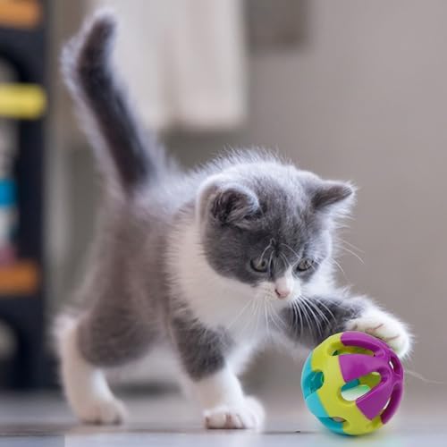 Hypeety Parrot Ball Toy Plastic Colorful Bird Chew Ball with Bells for Cage