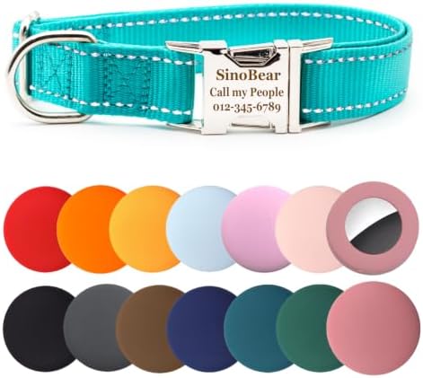 Personalized Dog Collar, Reflective Custom Dog Collar with Name Phone Number Adjustable Size (XS S M L) (Aqua)