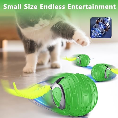 Cat Toys,Interactive Cat Toys Ball for Bored Indoor Cat,Green