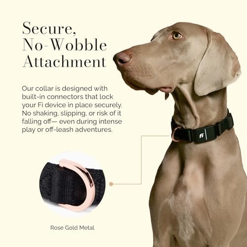 DOGISTRY - The Fi Rockstar Collar - GPS Dog Collar Band - Medium