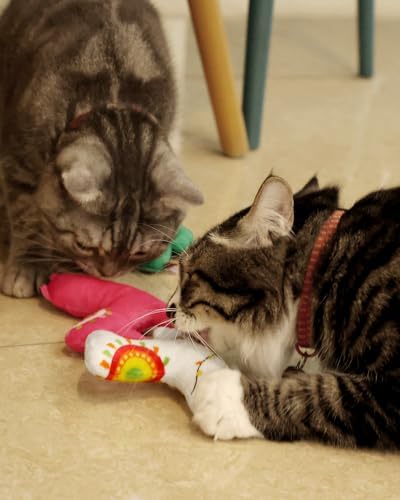 CiyvoLyeen Plush Cactus Llama Catnip Toys for Indoor Cats 5 Pack