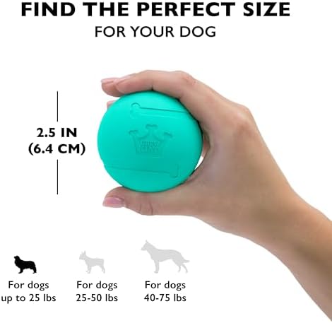 Chew King Fetch Balls Extremely Durable Natural Rubber Toy 2.5 inch, 8-pack (CM-0264-CS01)