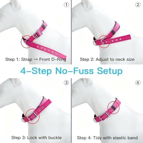 Reflective Dog Collar for Medium Dogs Wide Padding 6 Holes Adjusta