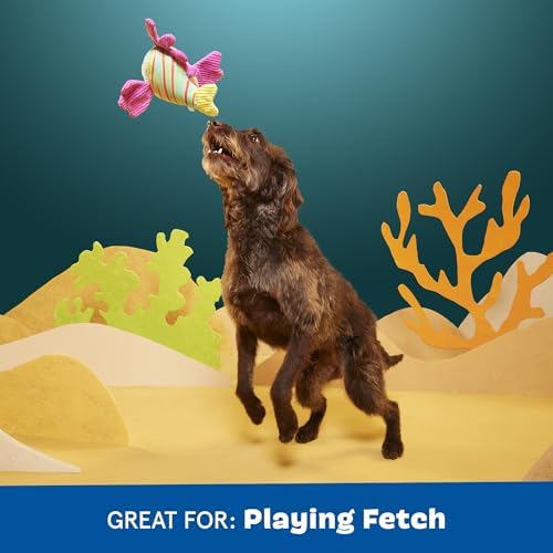 BarkBox Lion Fish Larry Dog Toy - for Medium to Large Dogs