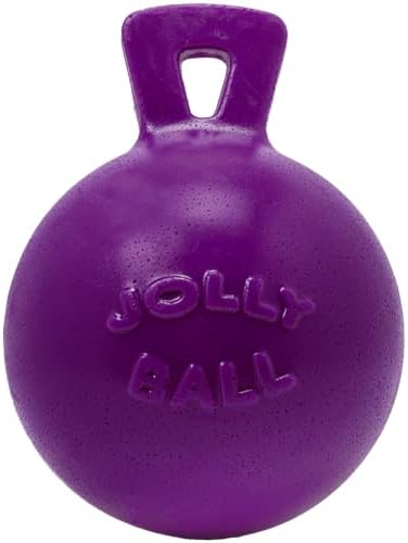 Jolly Pets Tug-n-Toss Heavy Duty Dog Toy Ball with Handle, 6 Inches/Medium, Purple