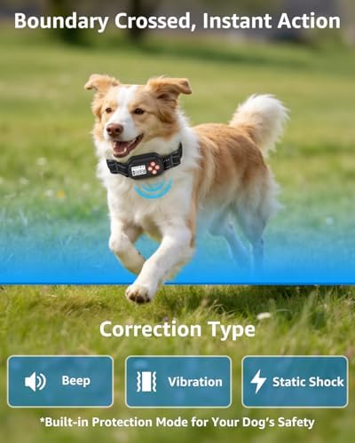 GPS Wireless Dog Fence with No Subscription | 25-999yards Adjustable Boundary, IPX7 Waterproof, Beep Vibration Shock Correction, Outdoor Use, for Dogs Over 18 Lbs