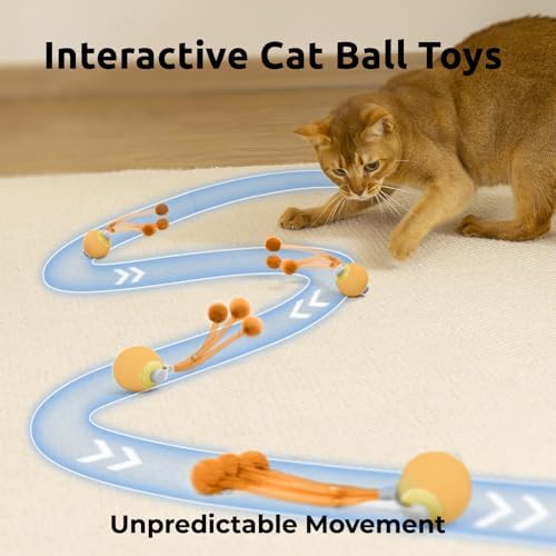 Cat Toys for Indoor Cats, Interactive Cat Toy Ball with Pom-Pom Tails, Automatic Cat Toy Self Play Exercise Toy to Relieve Boredom for Kitten & Adult Cats (Orange)