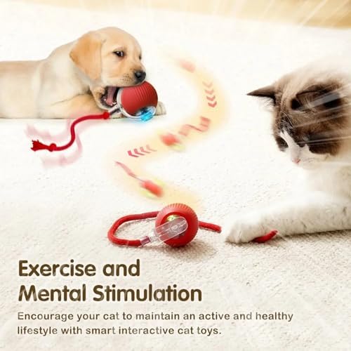 Automatic Ball for Small Dogs & Cats - Activated Moving Toy, Rechargeable, Self Play, Ball Toy with Long Tail Teaser