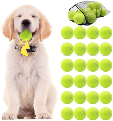Swingers Squeaky Tennis Balls for Dog, 2.5 Inch Training Tennis Balls