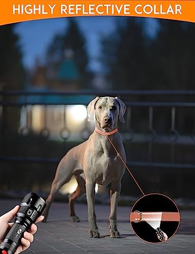 Dog Collar Replacement Strap, 3/4 x 27 Inch, Reflective Nylon with Metal D-Ring, Compatible with Multiple Training Shock Collars, 2 Pack