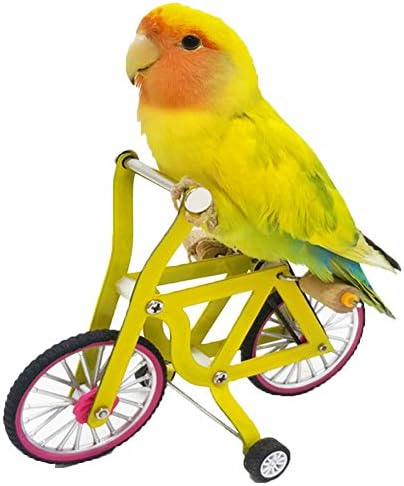 QBLEEV Bird Intelligence Training Toy - Parrot Puzzle Bicycle for Birds
