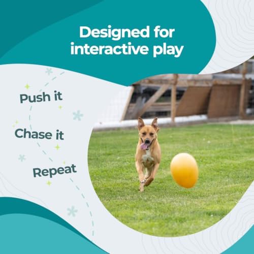 Jolly Pets Jolly Egg Herding Dog Toy, 12 in, Yellow - Large
