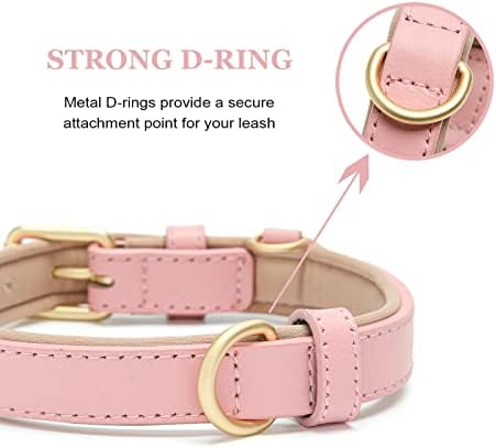 Leather Dog Collar for Small Medium Large Dogs Soft Waterproof Padded Puppy Collars
