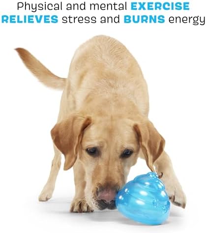 BarkBox Poopsicle Dog Toy - for Medium Dogs - for Dogs and Puppies