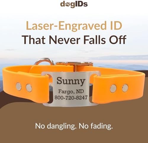 dogIDs Personalized Dog Collar – ScruffTag Custom Waterproof Biothane Dog Collar with Laser-Engraved Name, Durable & Odor-Resistant – USA Made | Creamsicle, 3/4 in x 14 in (Fits Neck Sizes 12-16 in)
