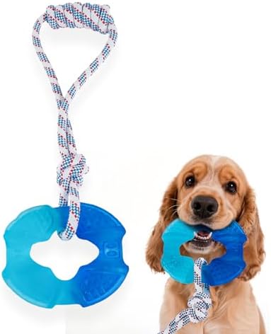 Dog Chew Toys for Aggressive Chewers, Multiple Textures & Rope, ndestructible Tough Durable Interactive Dog Toys, Puppy Chew Toys for Teething， The Large Blue Circle