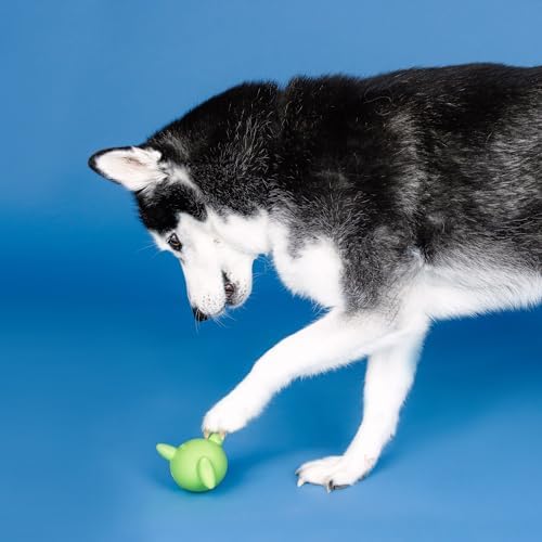 Fringe Studio Catch YA Later Lime Rubber Dog Toy, Pet Shop Collection (518048)